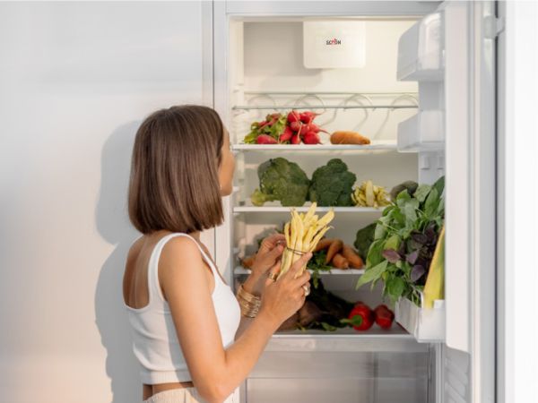 Frigoriferi e congelatori